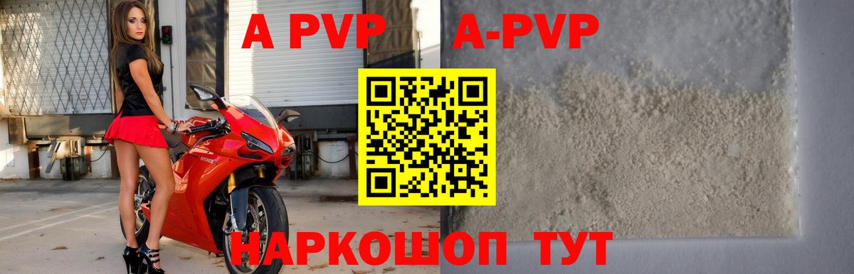 A PVP СК КРИС Нефтекумск